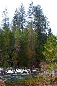 Stopping at the Wawane campsite to take in the view of the river.