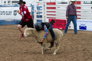 2015rodeodesantafe005