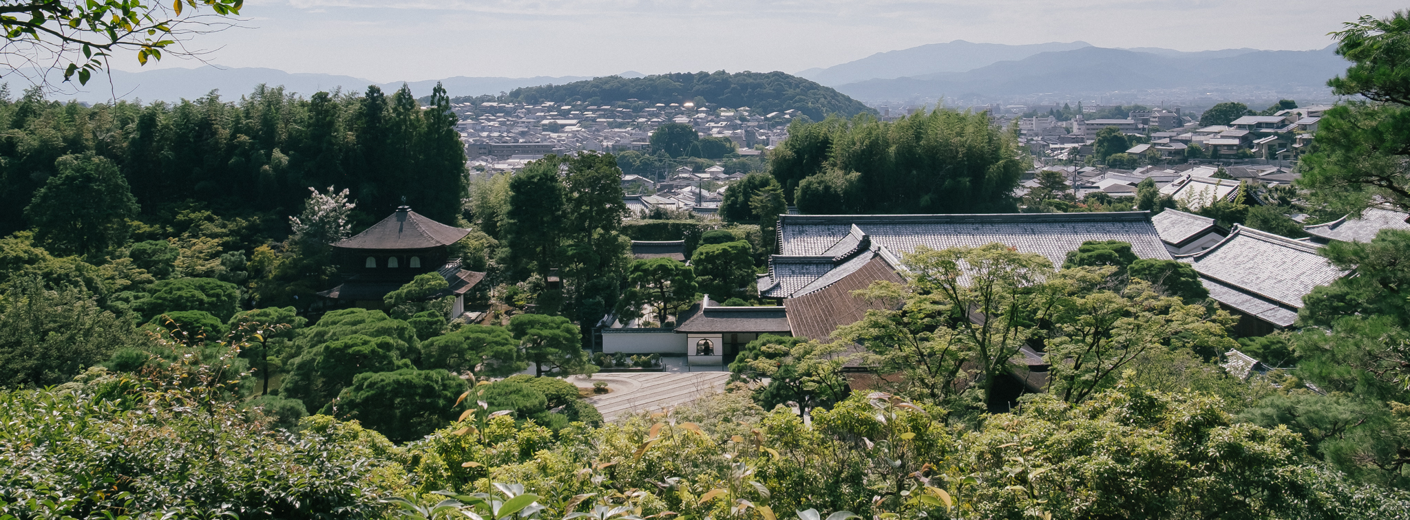 What is up with this site?